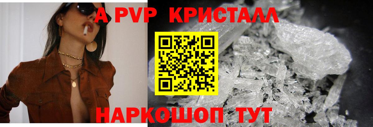A-PVP СК Новодвинск