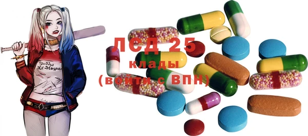 стафф Алзамай