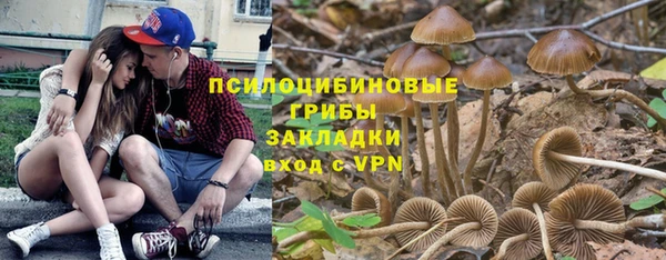 стафф Алзамай