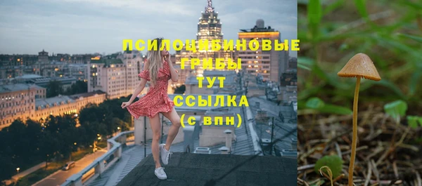 прущий лед Алексин