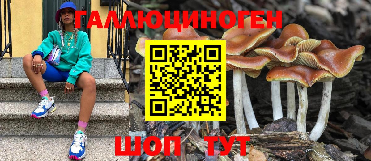 Псилоцибиновые грибы мухоморы Новодвинск