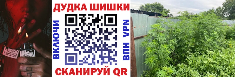 Бошки марихуана White Widow  Новодвинск 